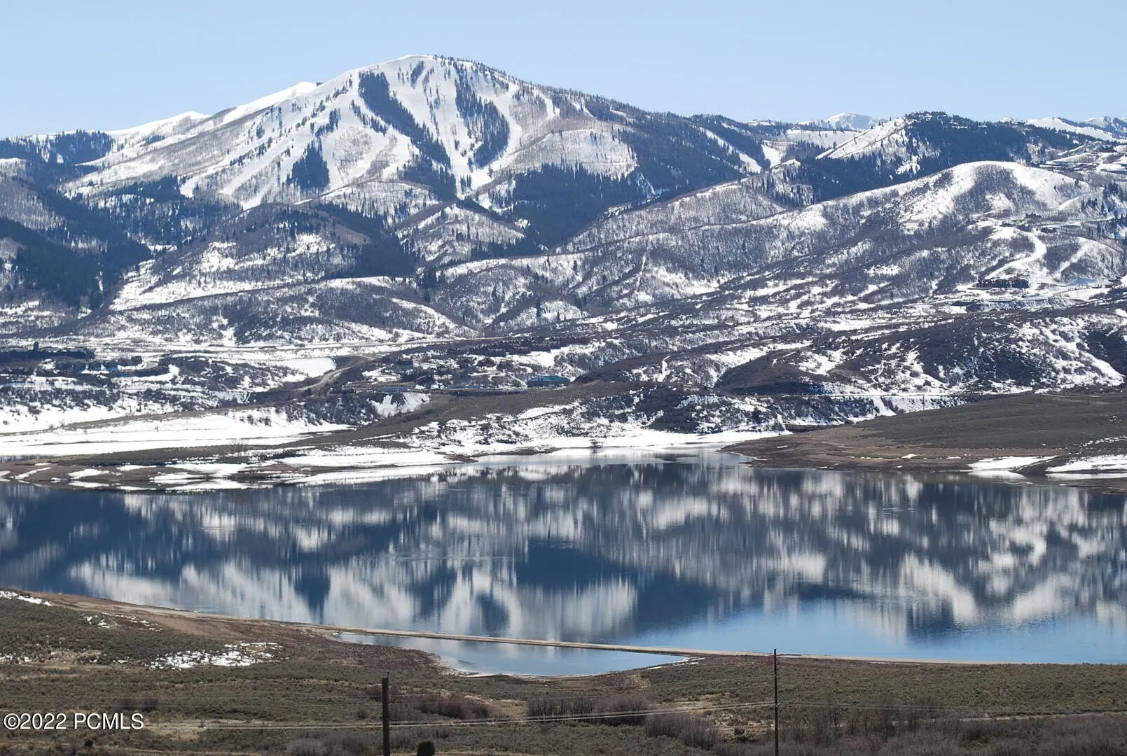 Photo of Listing #12503735