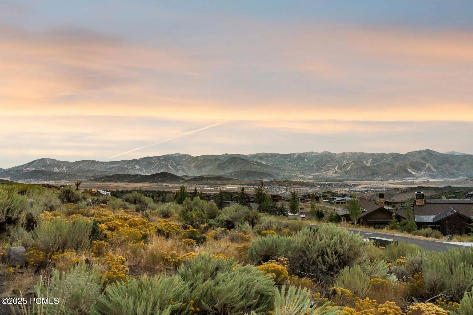 Photo of Listing #12503859