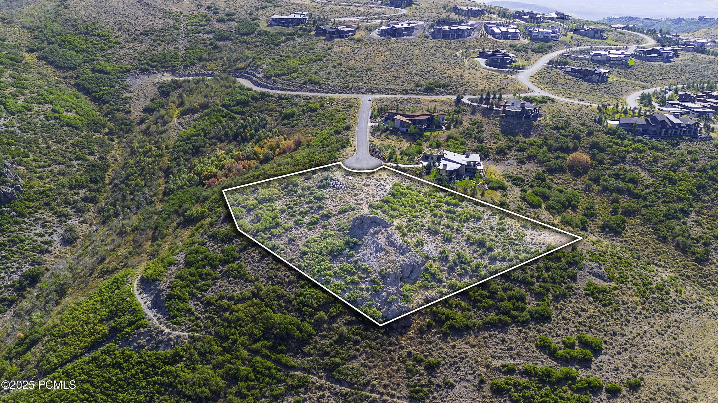 Photo of Listing #12503946