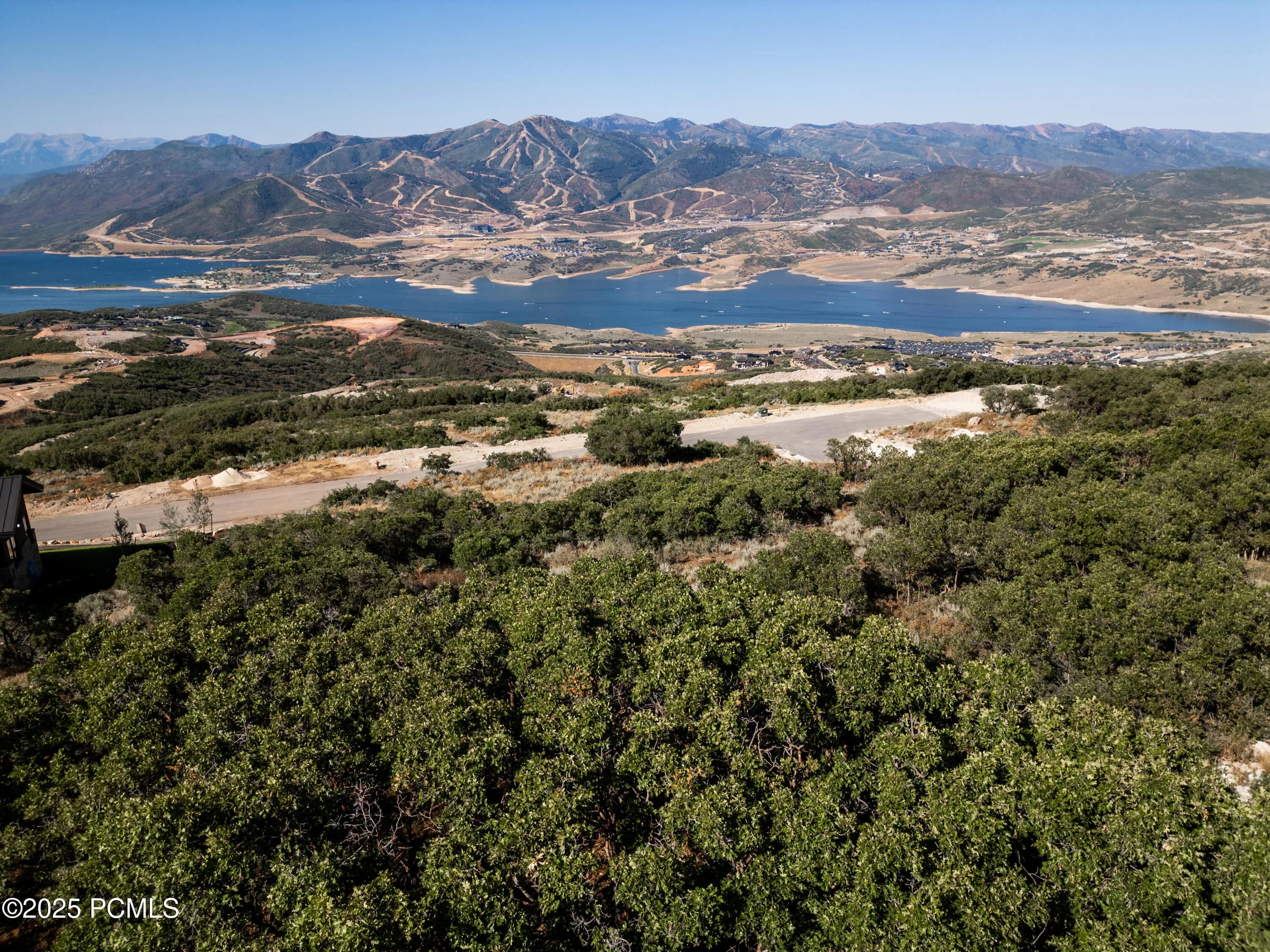 Photo of Listing #12504008