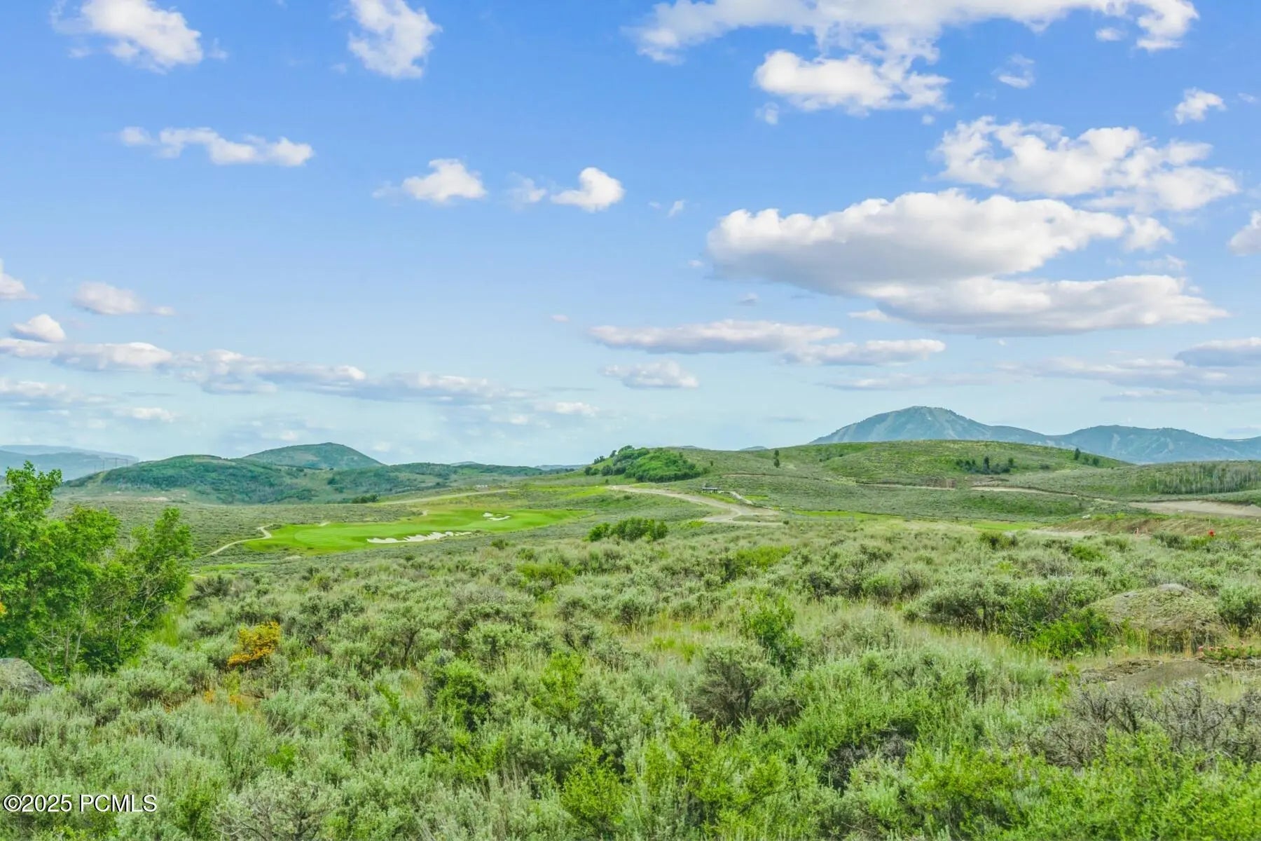 Photo of Listing #12504172