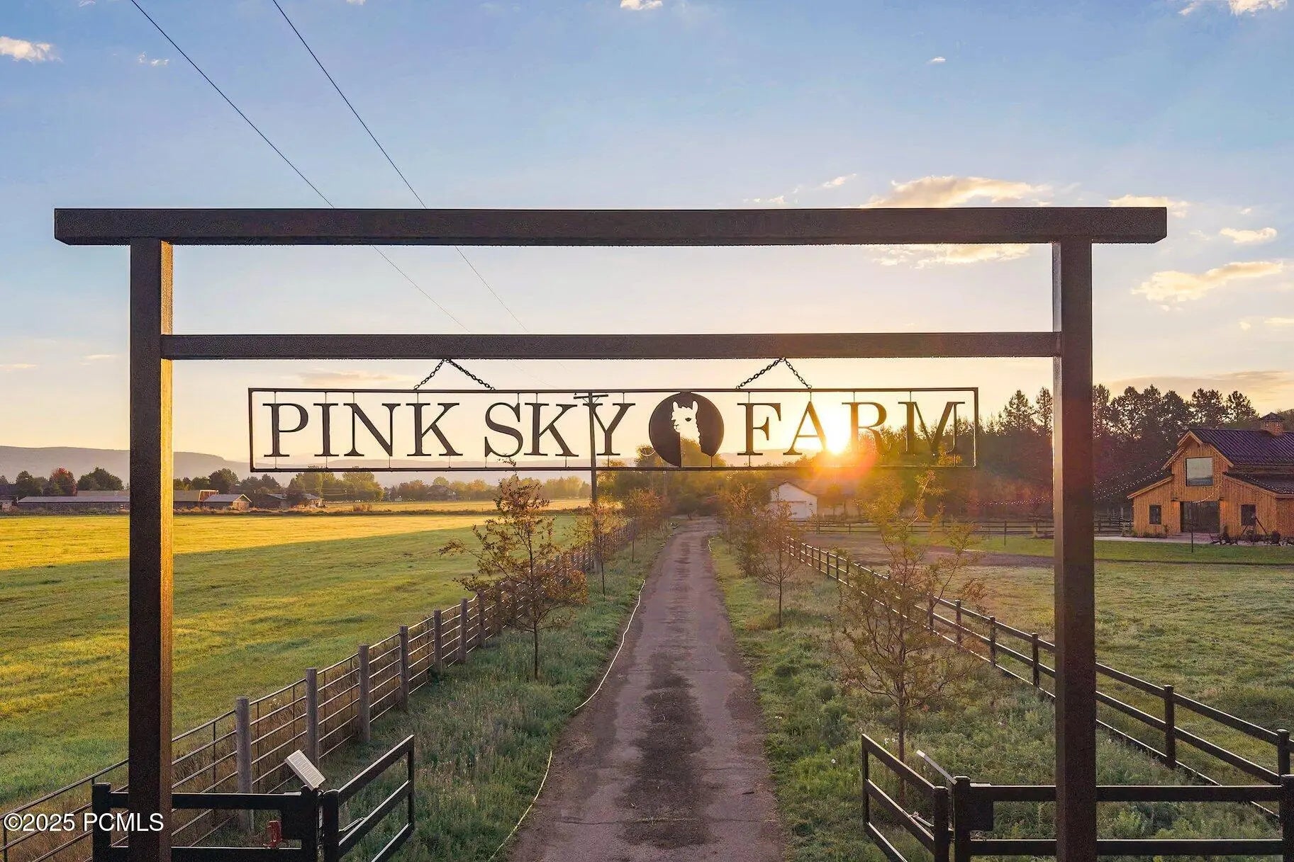 Photo of Listing #12504625