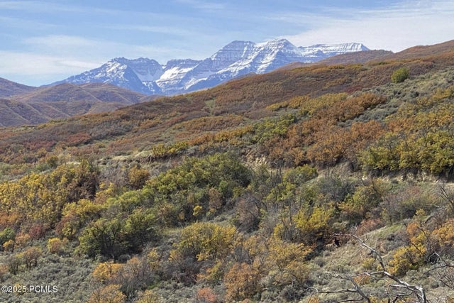 Bear North Parcels 06-58.91,4415, 21-7238, Midway