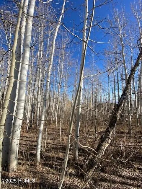 2307 S Aspen Ridge Drive, Coalville