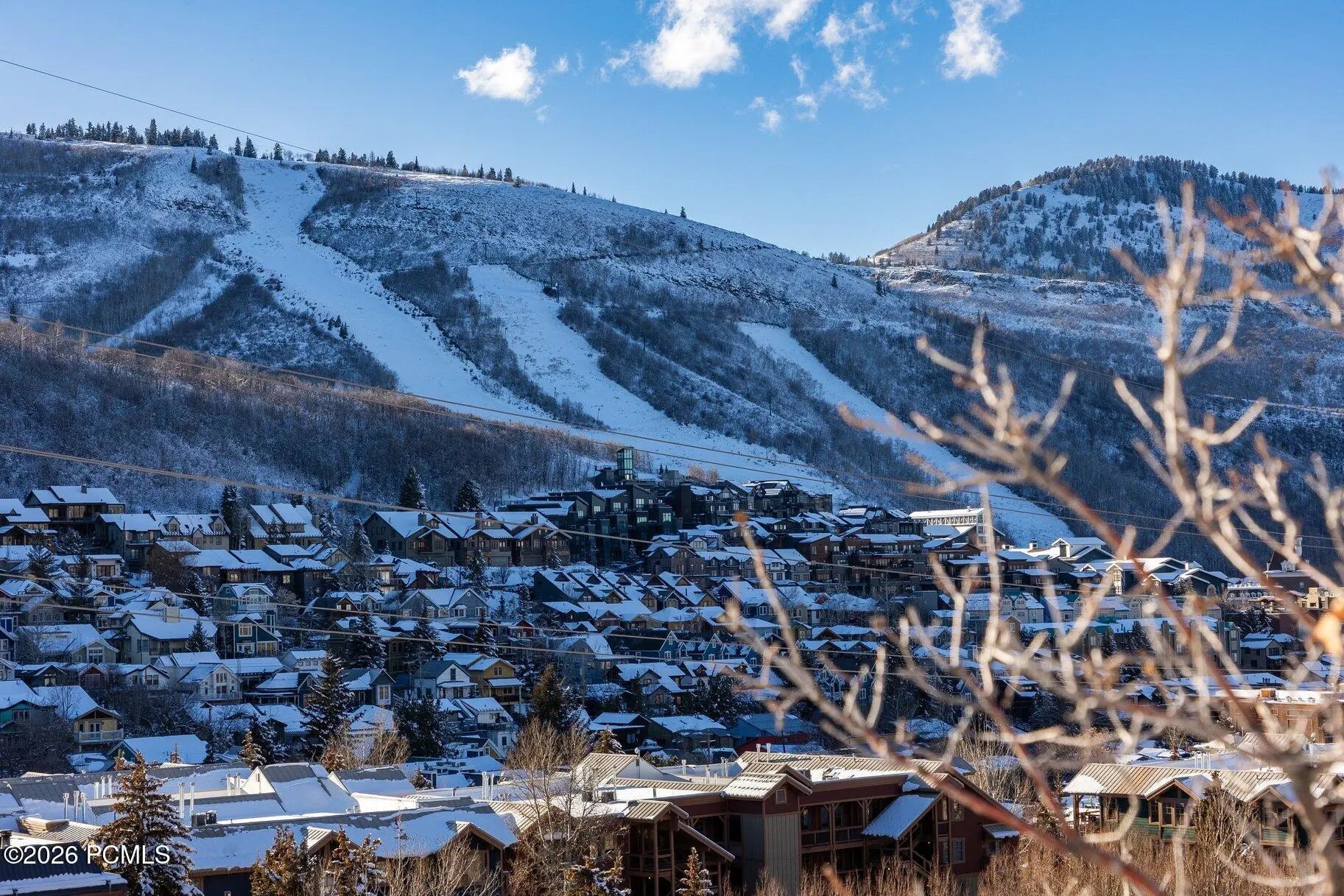 Photo of Listing #12600078