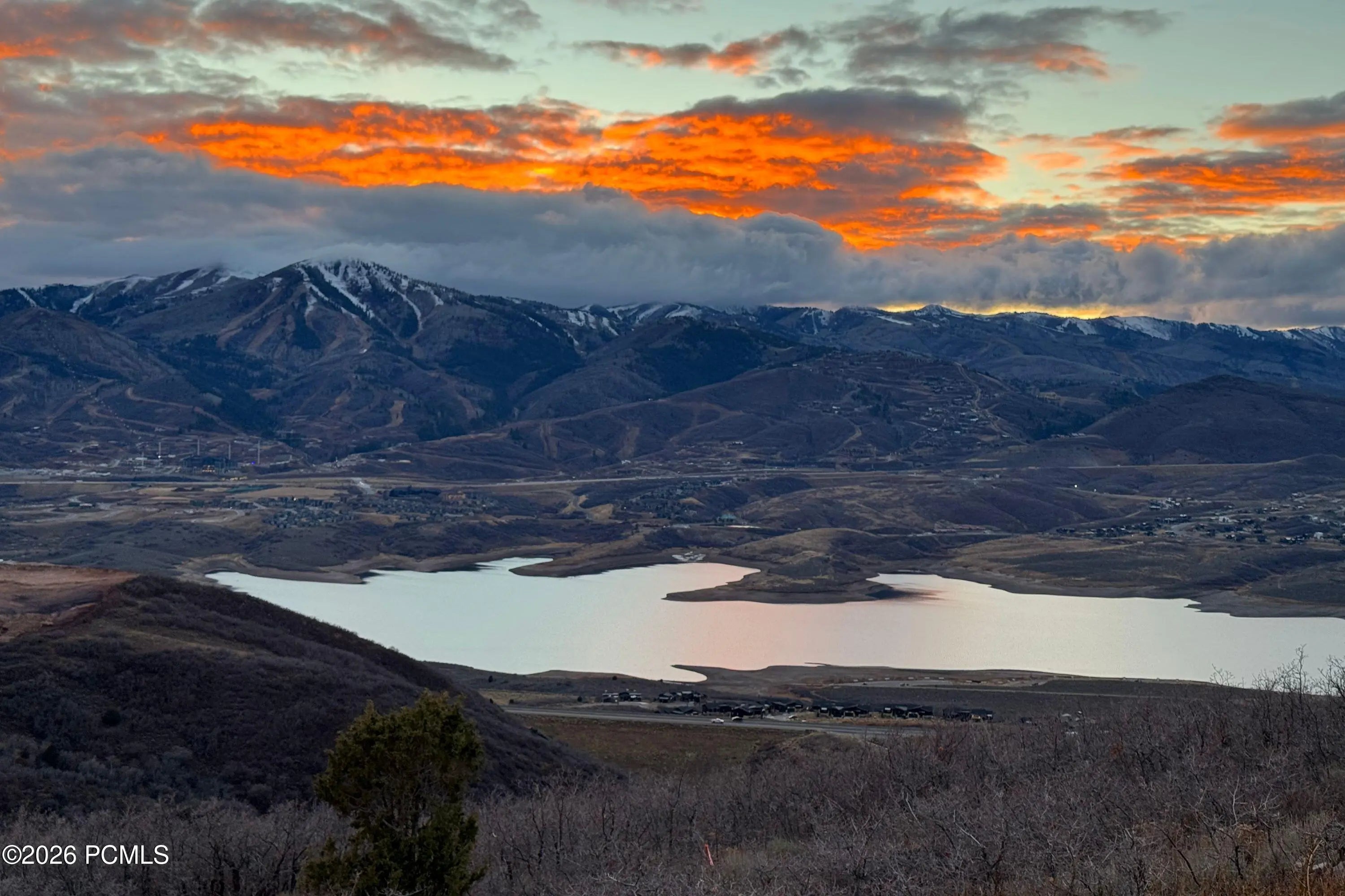 Photo of Listing #12600459