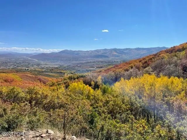 1369 Lower Cove Road, Park City