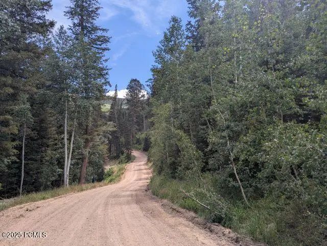 11319 E Tanglewood Drive 654, Heber City