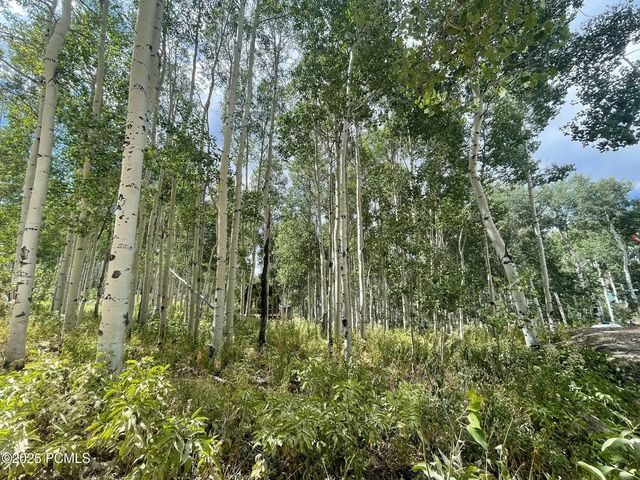 11485 Violet Way 1845, Heber City