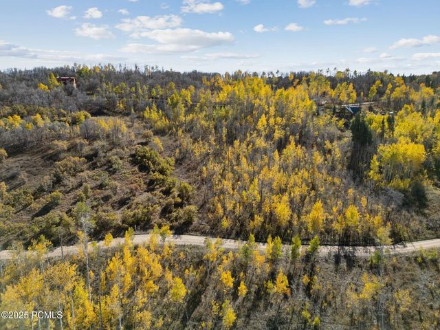 276 W Bear Tooth Ridge 25, Coalville