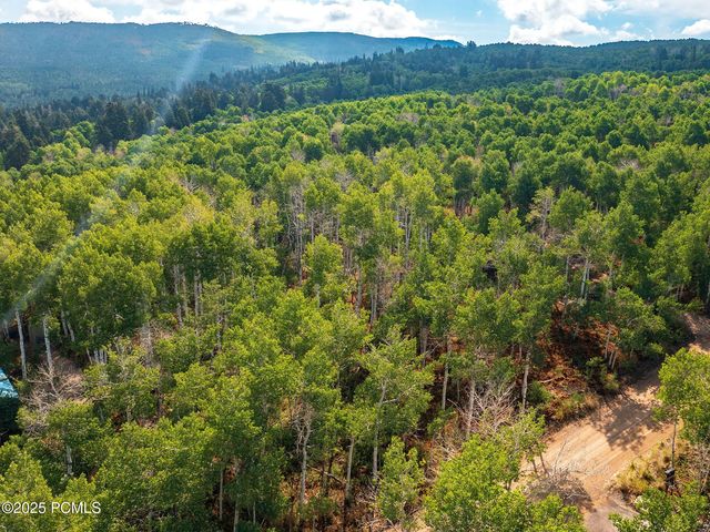 2919 S Green Briar Way 543, Heber City