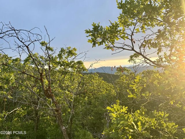 1556 S Tree Top Lane 353, Heber City