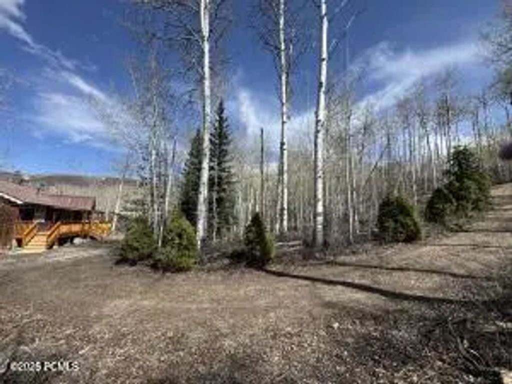 10737 E Tanglewood Drive Lot 630, Heber City