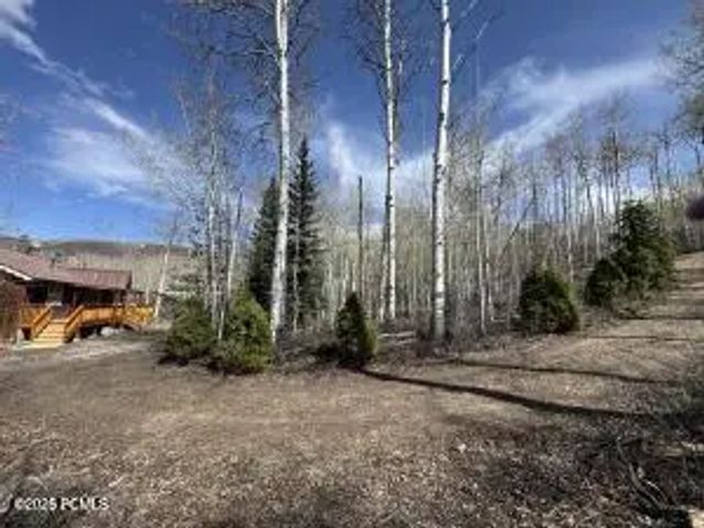 10737 E Tanglewood Drive Lot 630, Heber City