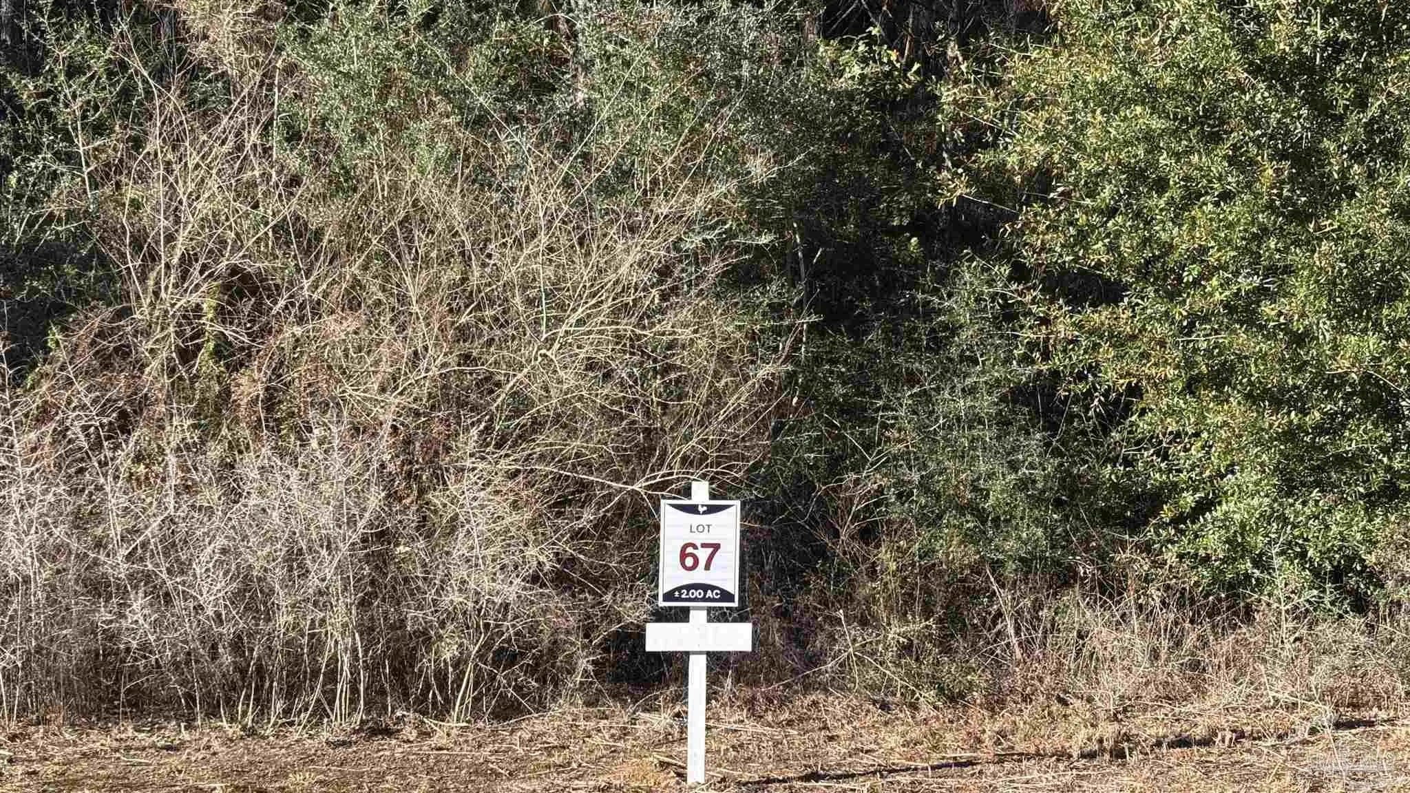 Photo of Listing #675099