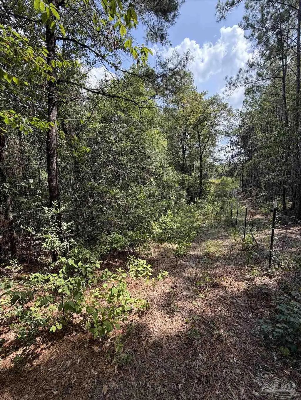 7.7 Acres Werlin St, East Brewton