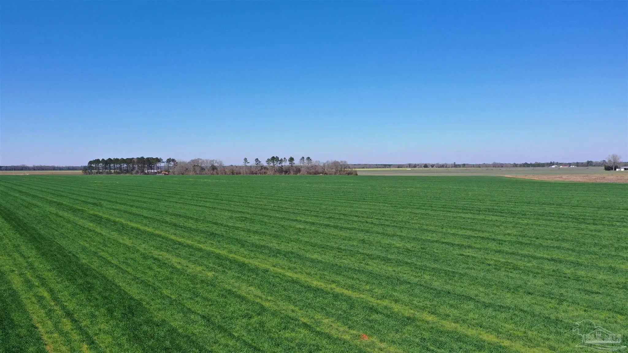 Photo of Listing #666133