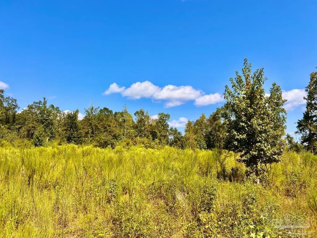 Lot 6c Cotton Lake Rd, Molino