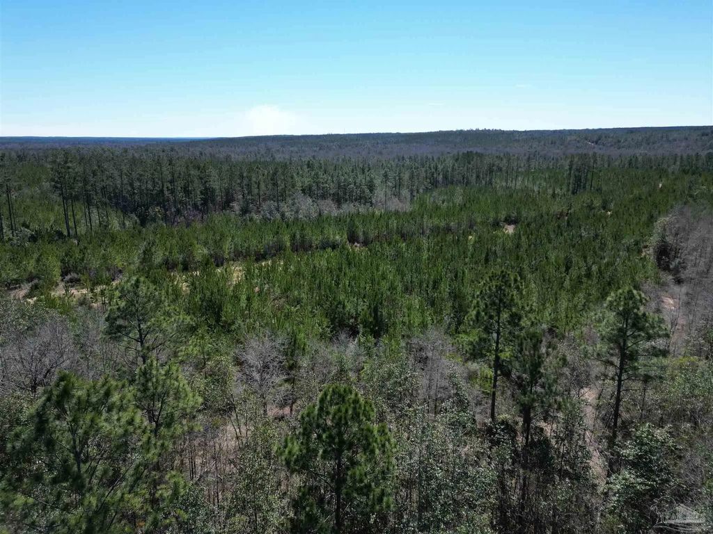 5 Robinsonville Rd, Atmore