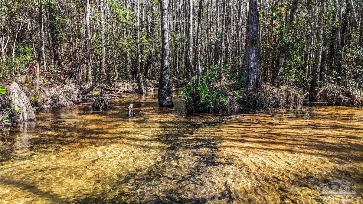 Photo of Listing #660928