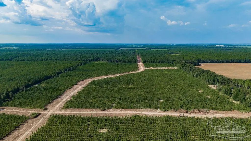 Lot 87 Posie Forest Rd, Milton