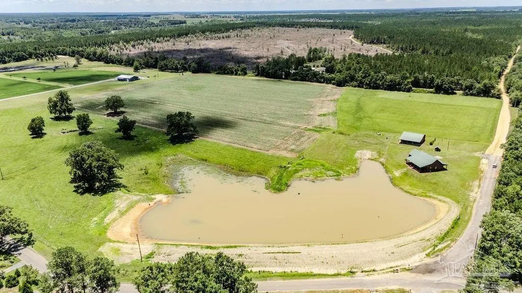 Photo of Listing #667750