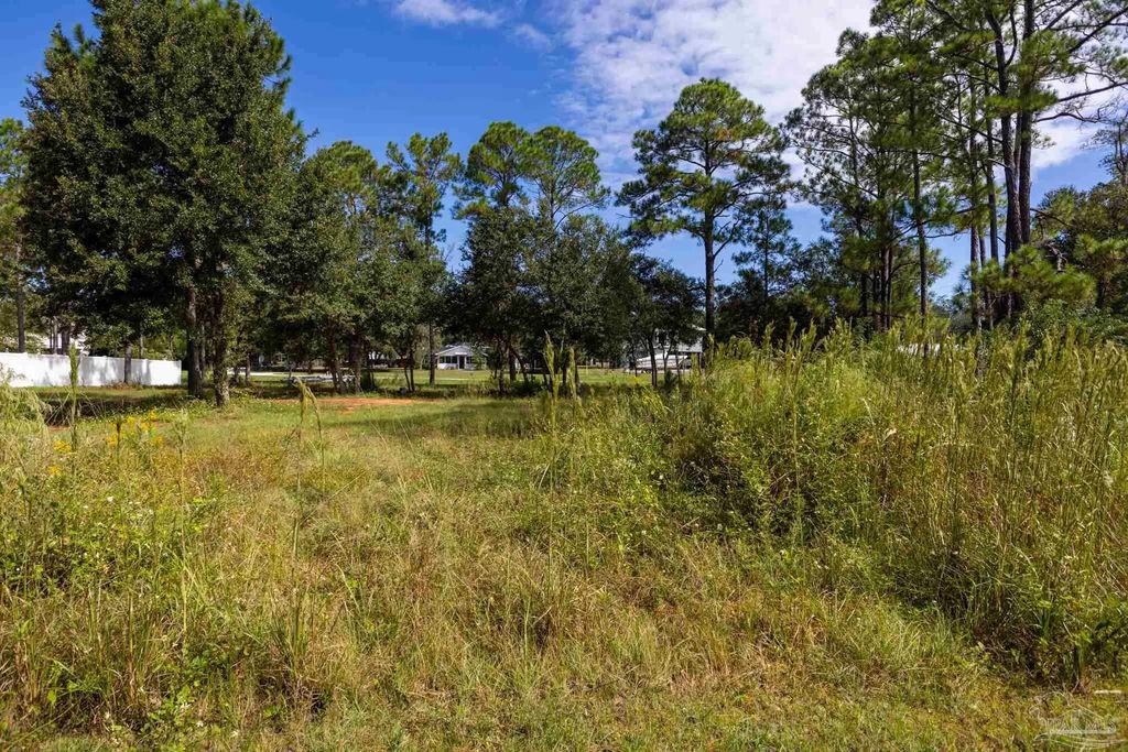 296 Meadson Way, Pensacola