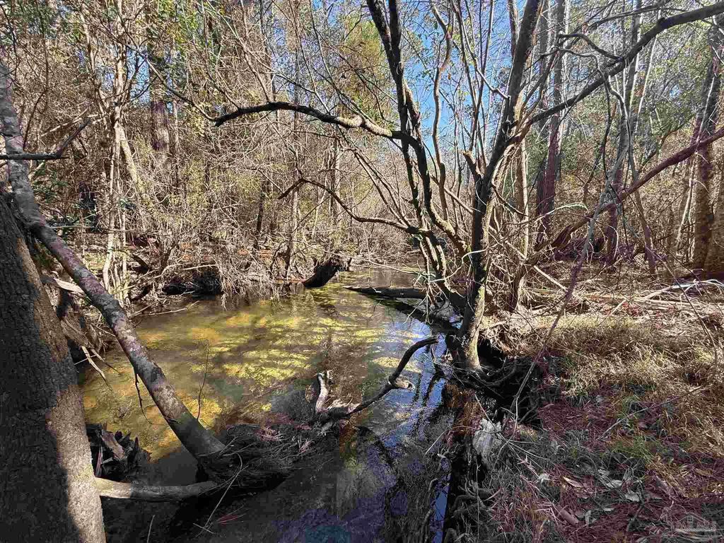 Lot 22 Creek Bluff Dr, Pace