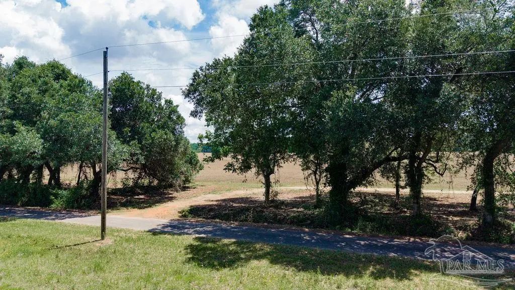 Photo of Listing #684135