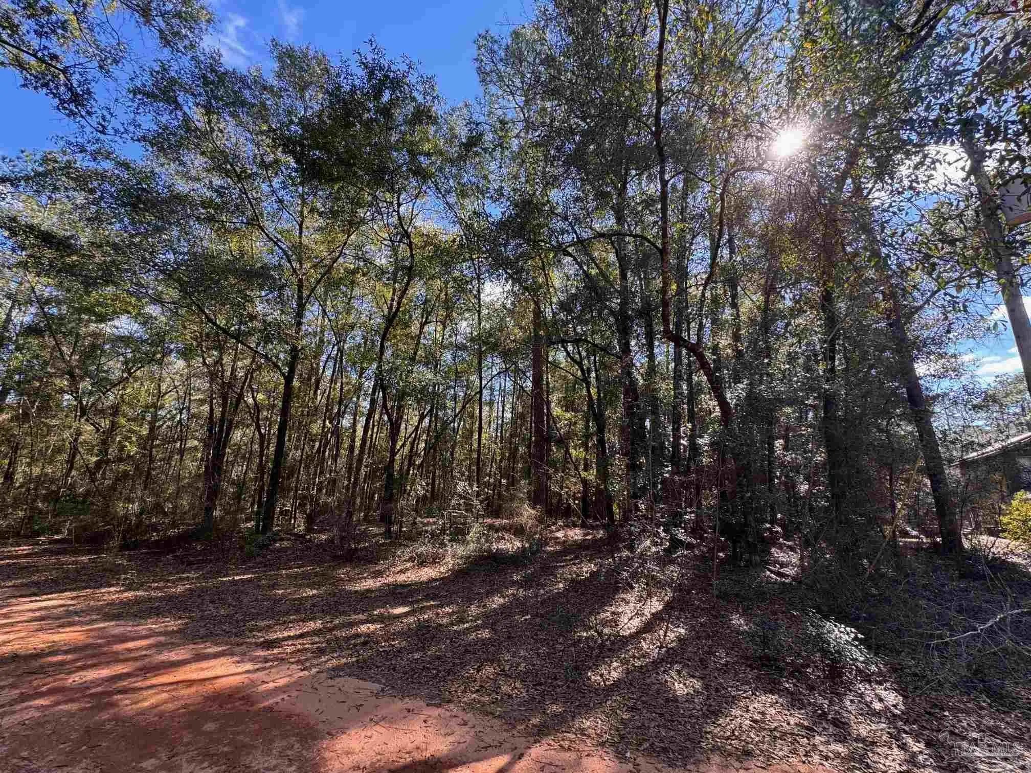 Photo of Listing #677911