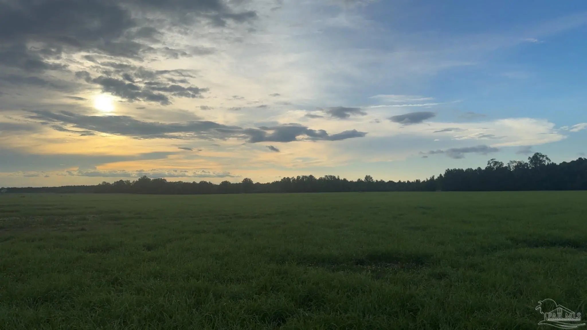 Photo of Listing #667856