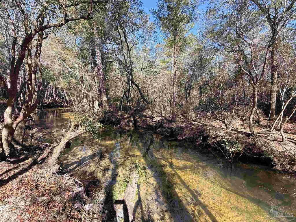 Lot 18 Brook Crossing St, Pace