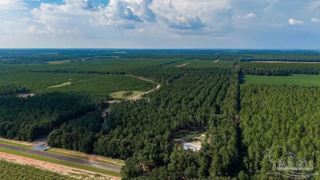 Lot 93 Posie Forest Rd, Milton