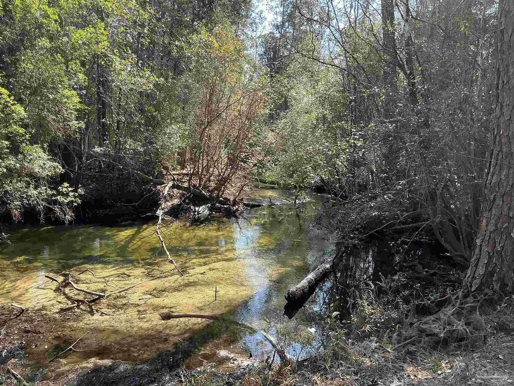 Lot 10 Brook Crossing St, Pace
