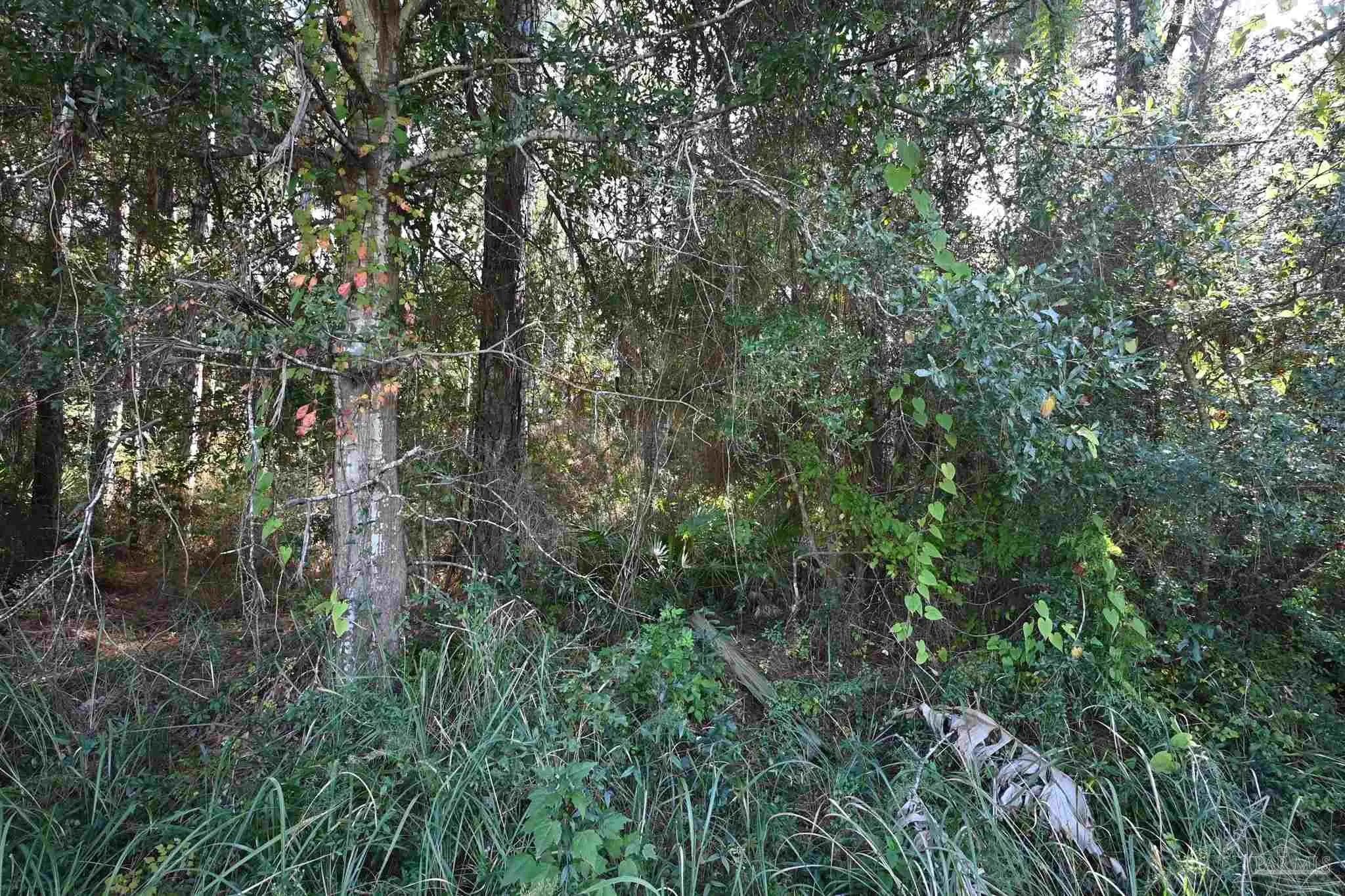 Photo of Listing #672605