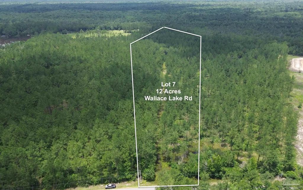 Lot 7 Wallace Lake Rd, Pace