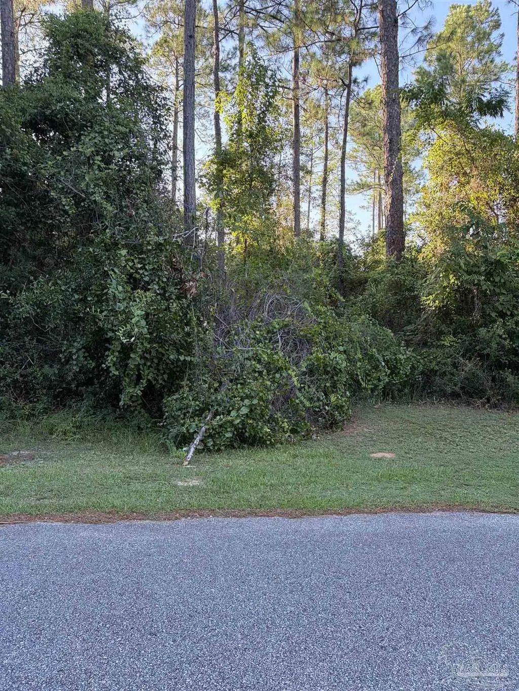 311 Deerfoot Ln, Cantonment