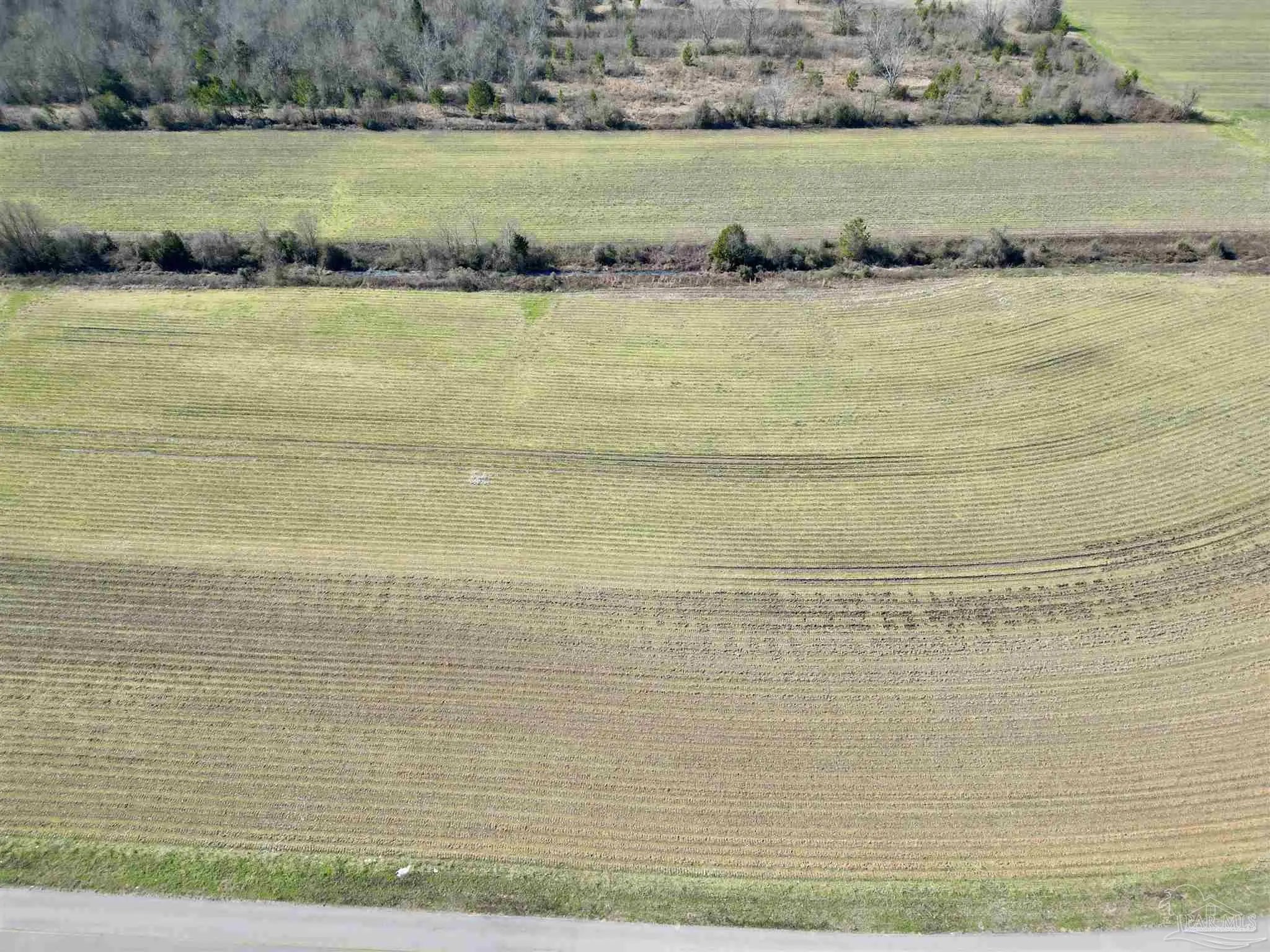 Photo of Listing #677060