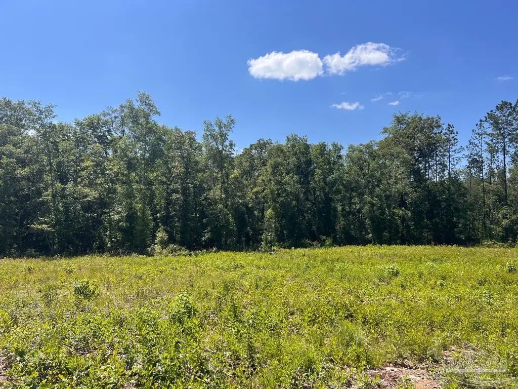 Lot 14-c Hwy 29, Molino