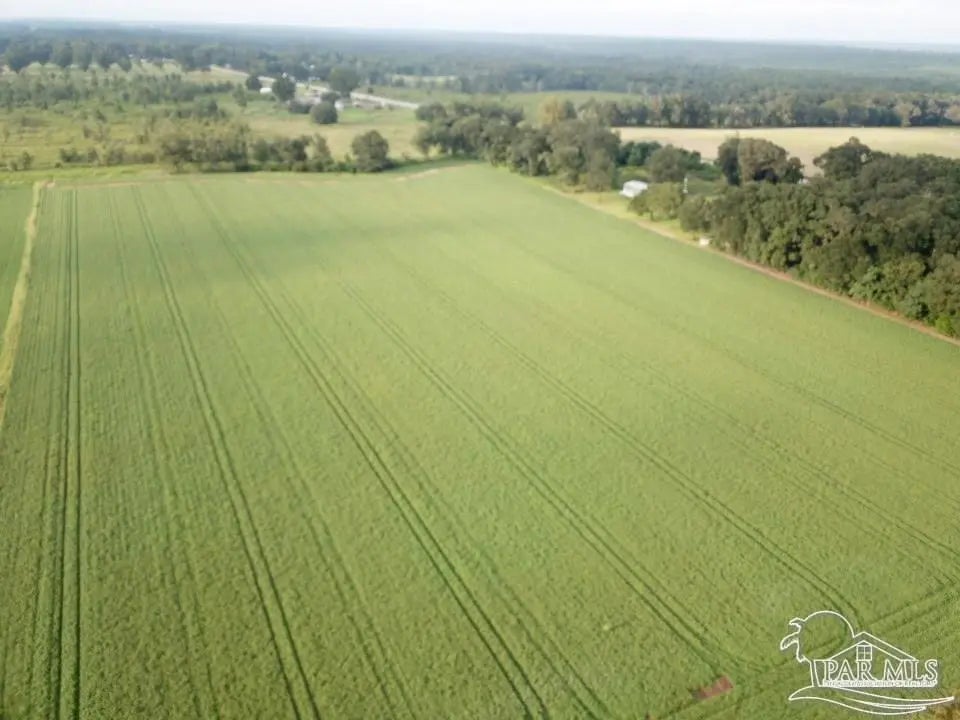 Photo of Listing #678874