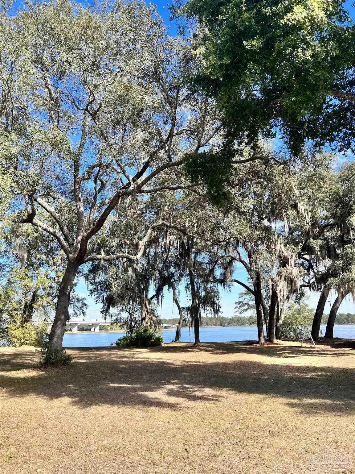 Photo of Listing #636403