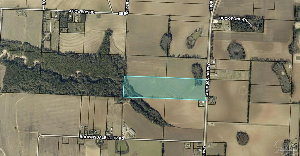 40 Acres Chumuckla Hwy, Jay