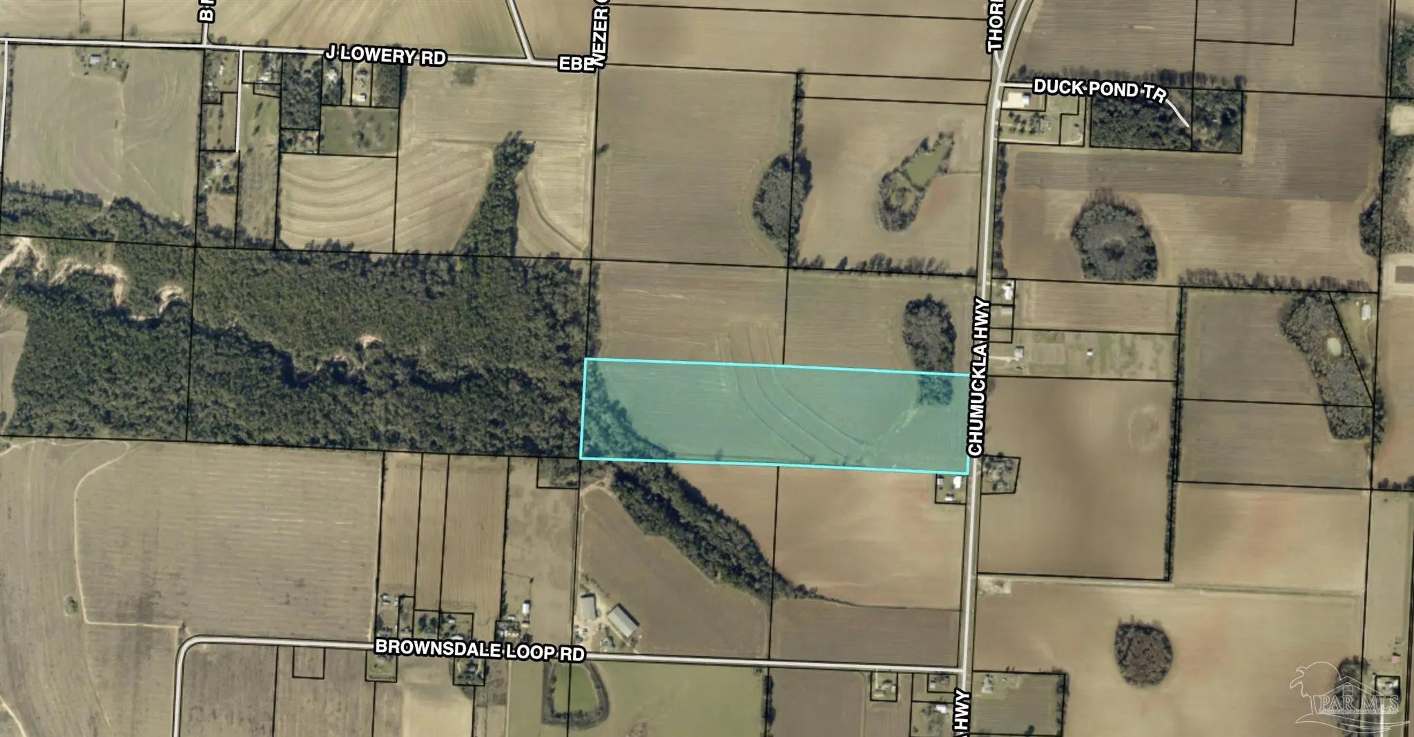 Photo of Listing #673150