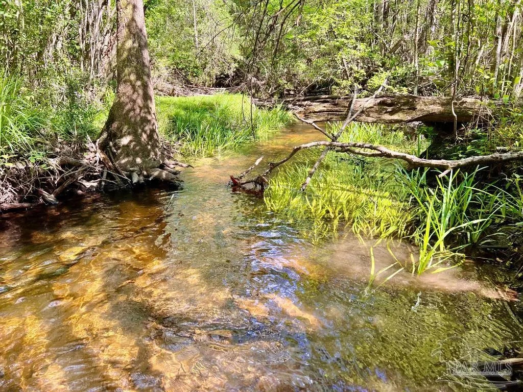 Photo of Listing #624671