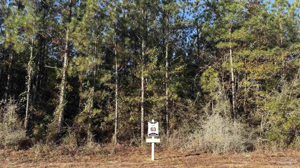 Lot 63 Straw Bridge Rd, Jay