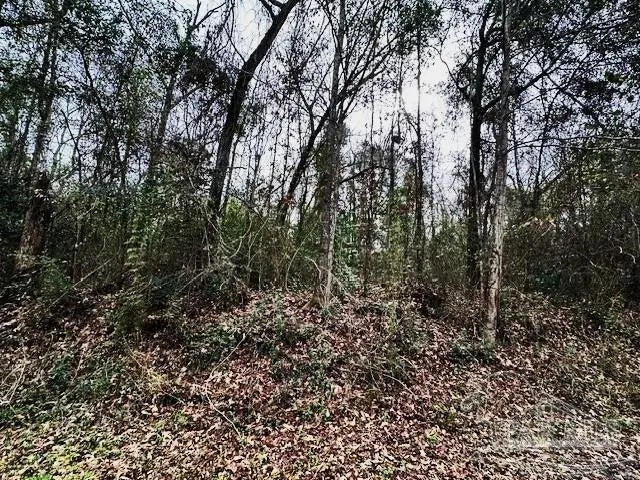 Photo of Listing #676549