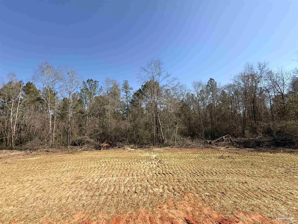 Lot 15 Brook Crossing St, Pace