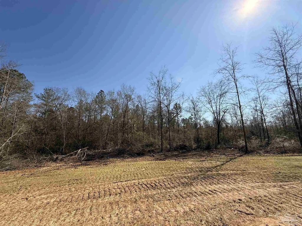 Lot 14 Brook Crossing St, Pace