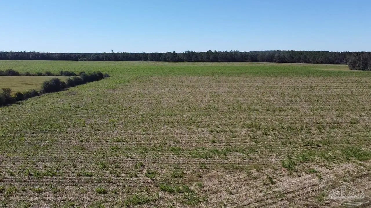 Photo of Listing #673476