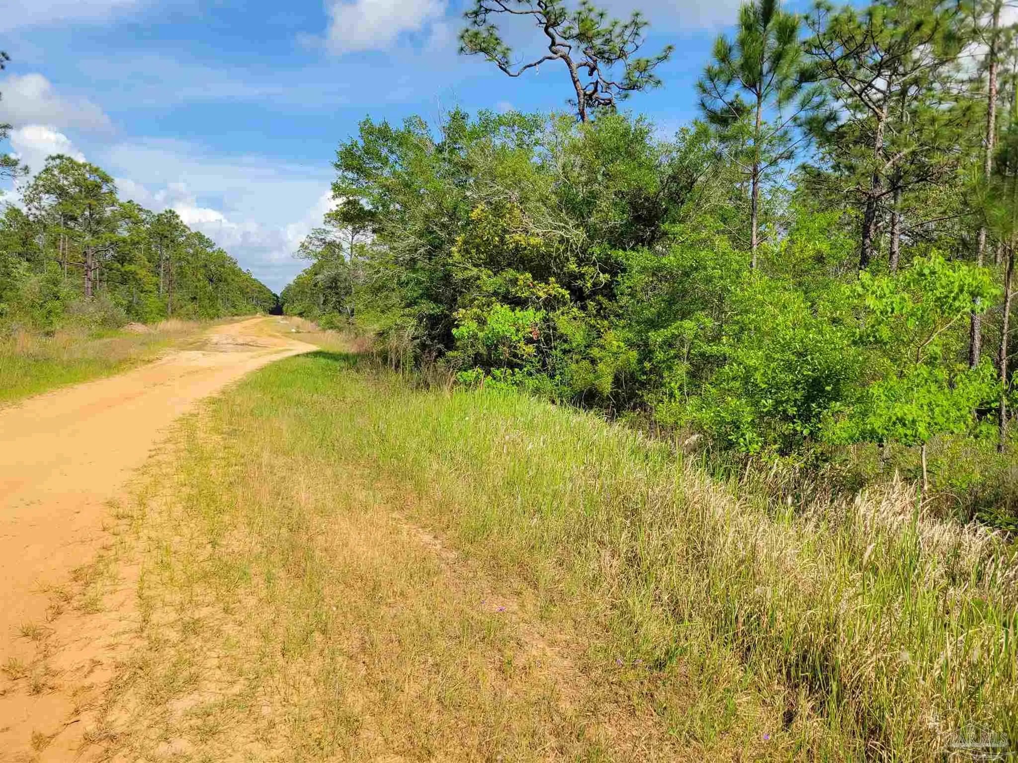 Photo of Listing #674464